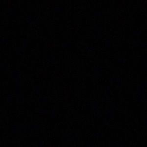 Meet your Posher, Ashunti